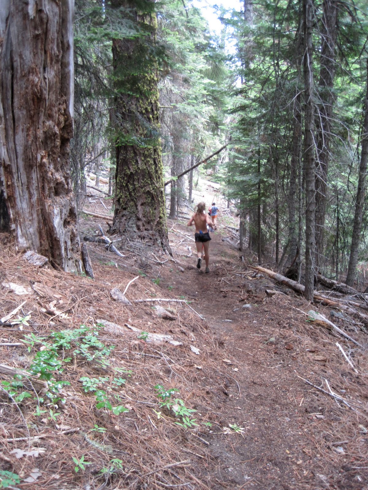 Reinventing the Run: Pine to Palm 100 Mile Endurance Run - Course Beta