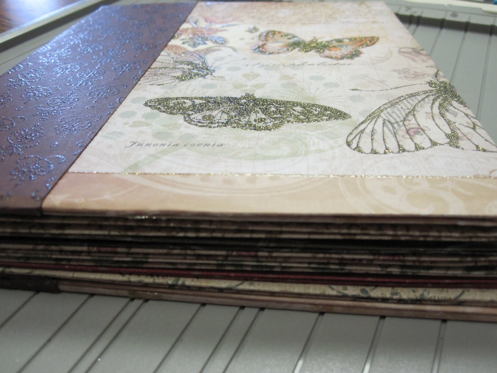 She's a Sassy Lady Special Events Book