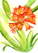 FLORNARANJA