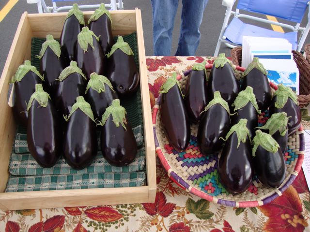 [eggplant.jpg]