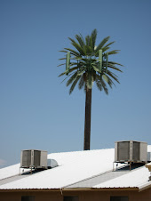 Robot Palm Tree