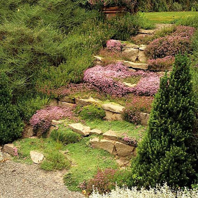 diyideas
