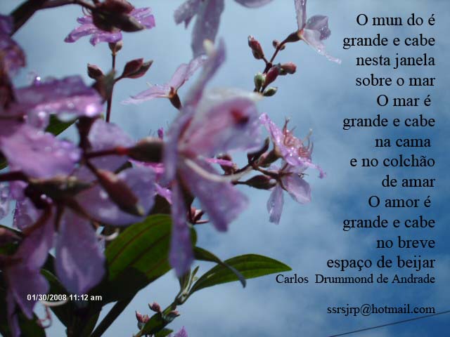 [Imagem+1350.jpg]