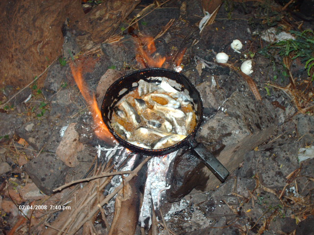 [Imagem+051.jpg]