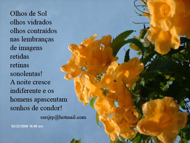 [Im+1556.jpg]
