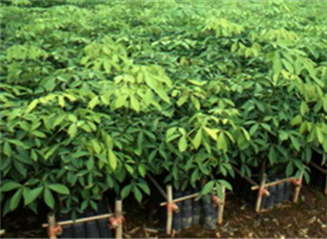 [MNewsImages_24755.png]