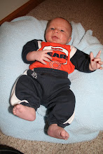 Da Bears