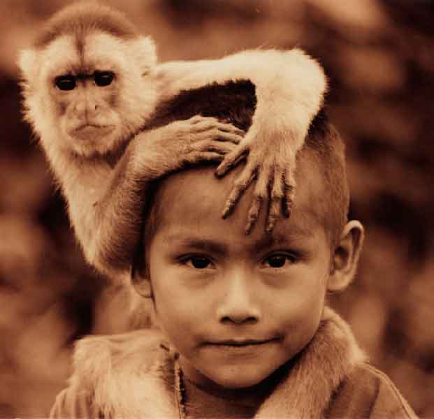 Knowledge And Innocence Daisetz T Suzuki Knowledge And Innocence Daisetz T Suzuki