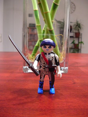 Playmobils : nouvel arrivage pirate