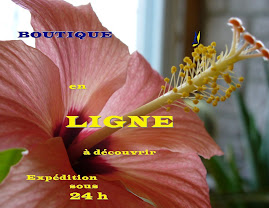 BOUTIQUE EN LIGNE