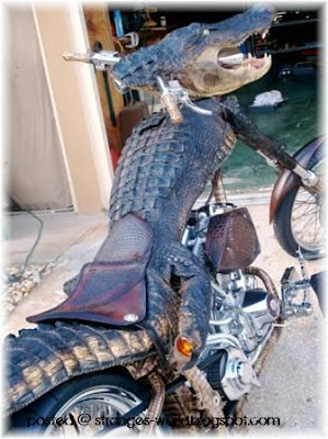 Crocodile Motorcycles