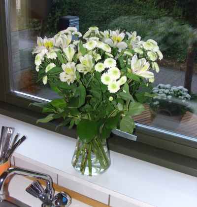 Hvide blomster i køkkenvinduet