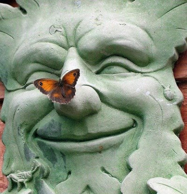 Butterfly Finds Peace by SteveJ
