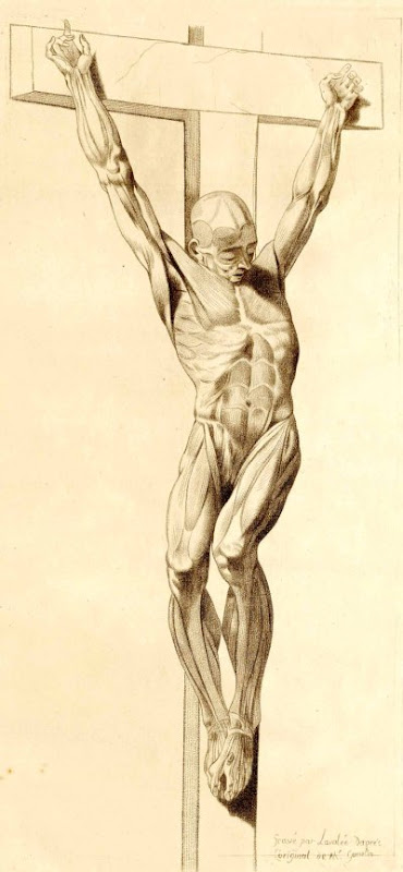 Anatomisk 'Jesus på korset'