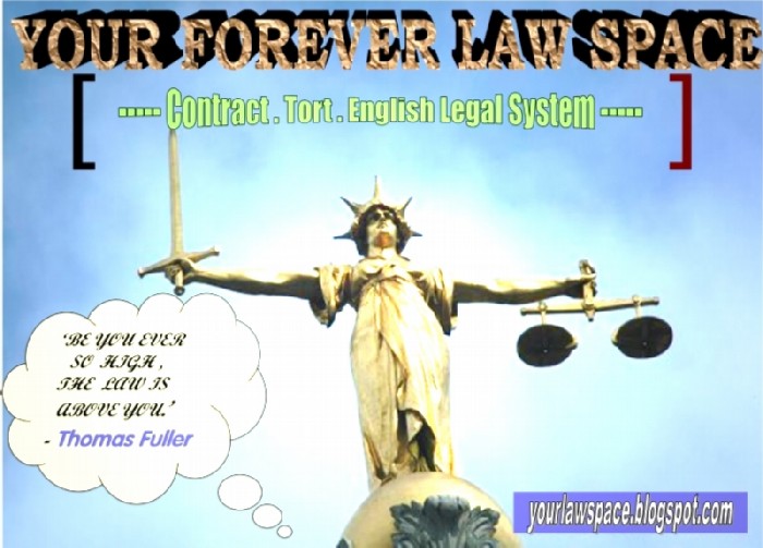 Your forever law space