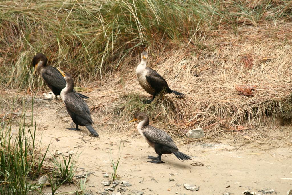 [IMG_9673+(Large).JPG]