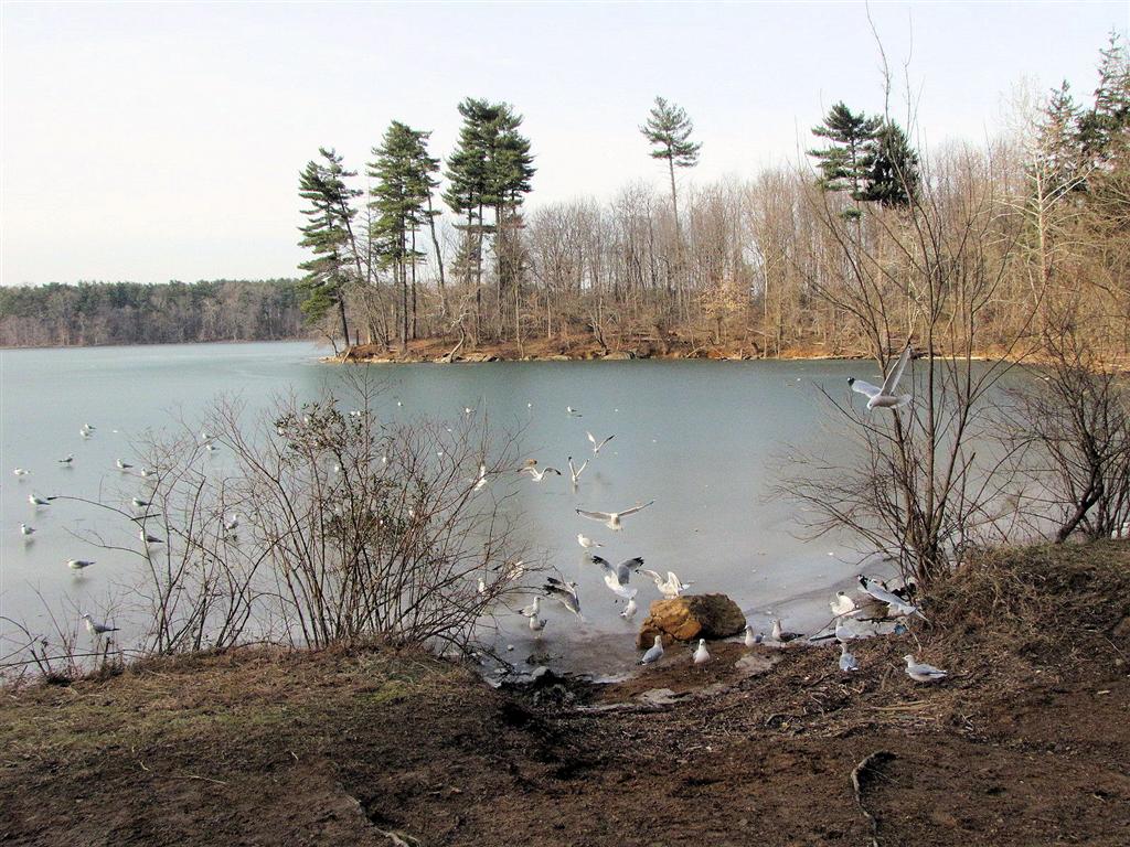 [IMG_6601_LochRaven_1+(Large).jpg]