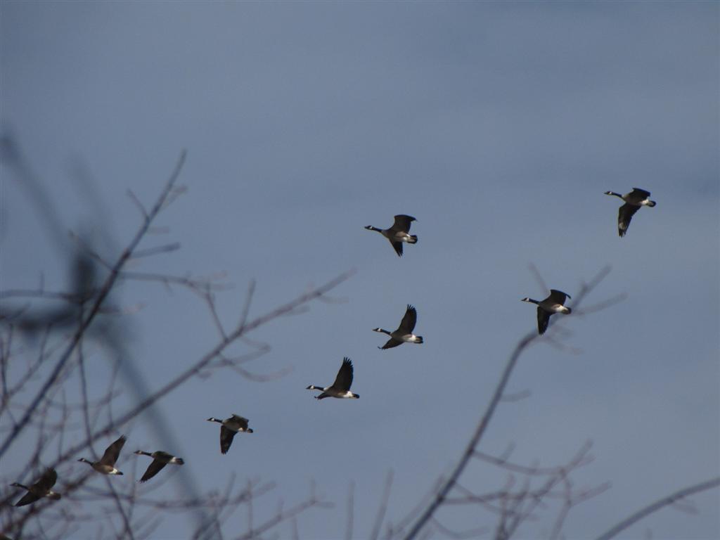 [IMG_6438+(Large).JPG]