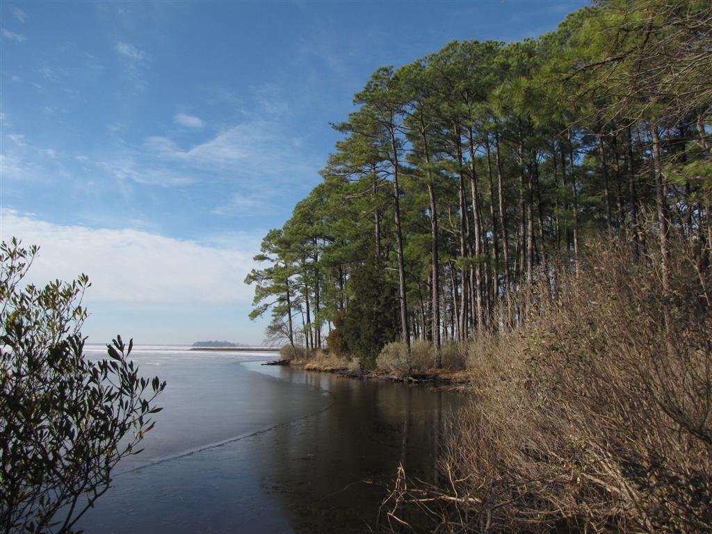 [IMG_6430+(Large).JPG]