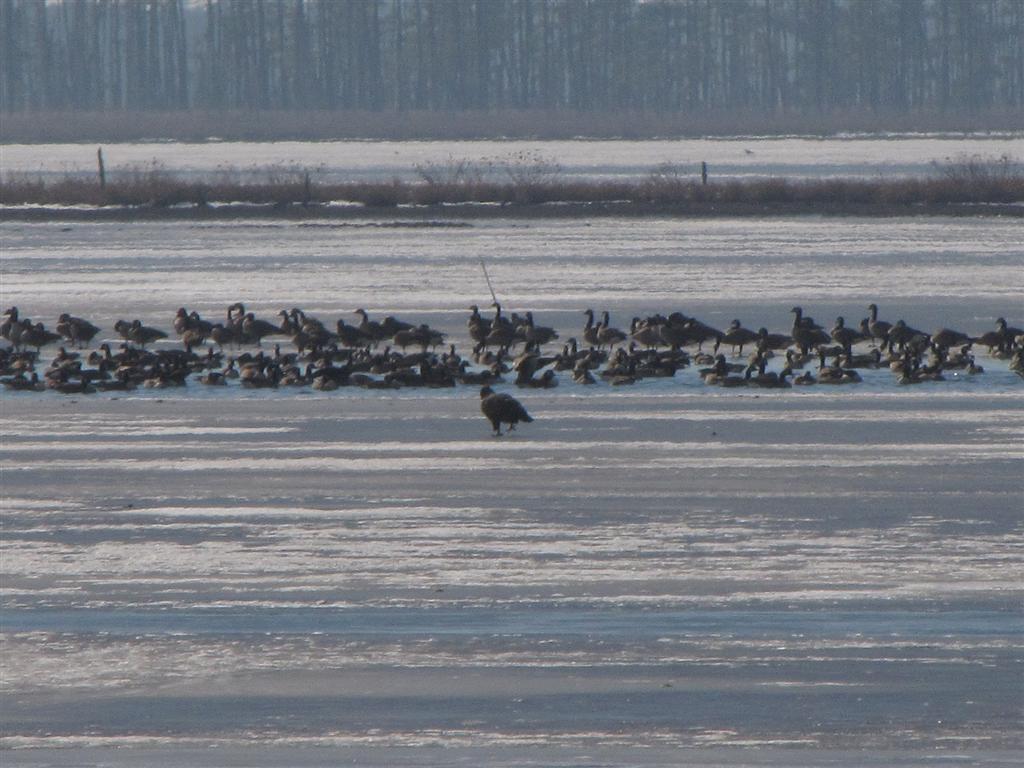 [IMG_6502+(Large).JPG]