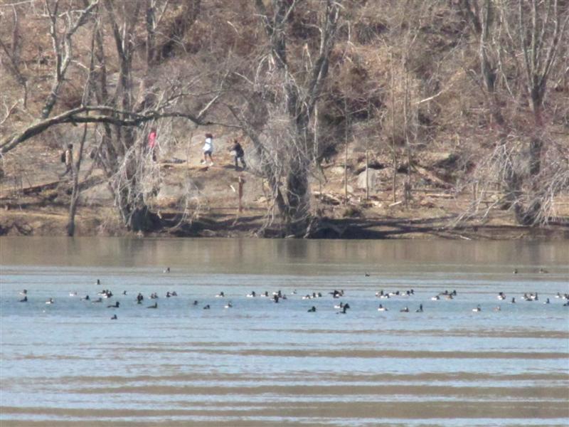 [IMG_0081+(Medium).JPG]