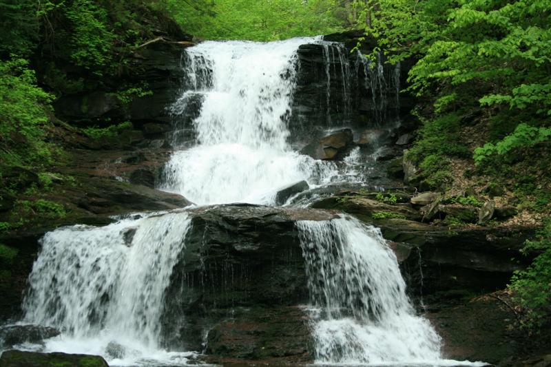 [IMG_4282+(Medium).JPG]