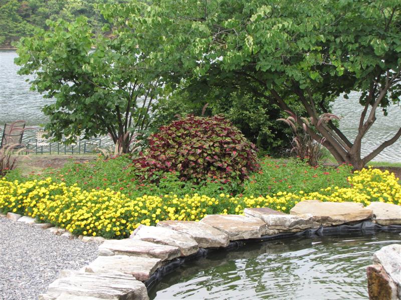 [IMG_4476+(Medium).JPG]