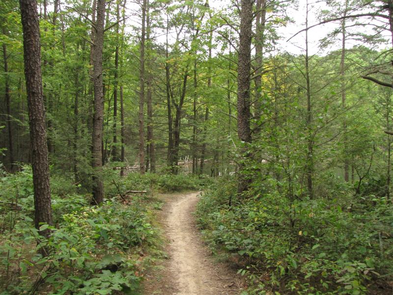 [IMG_4514+(Medium).JPG]