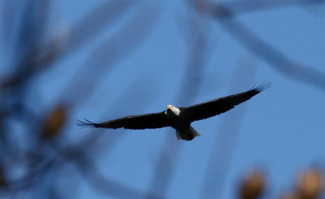 [2008-11-29_00006+(Small).JPG]