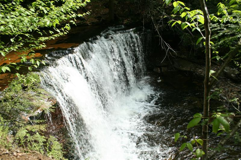 [IMG_4192+(Medium).JPG]