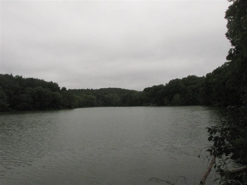 [IMG_4550+(Large).JPG]