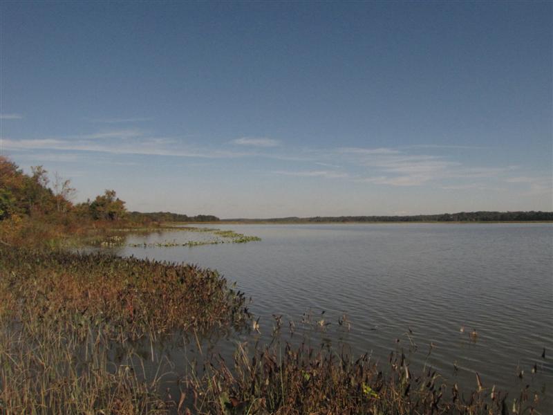 [101109+Patuxent+River+Park_2+(Medium).jpg]