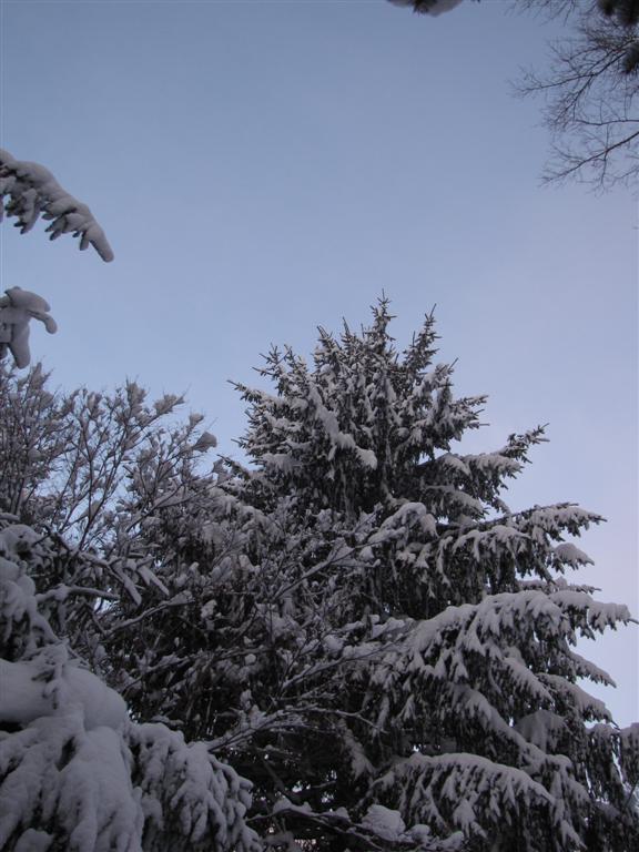 [IMG_5885+(Large).JPG]