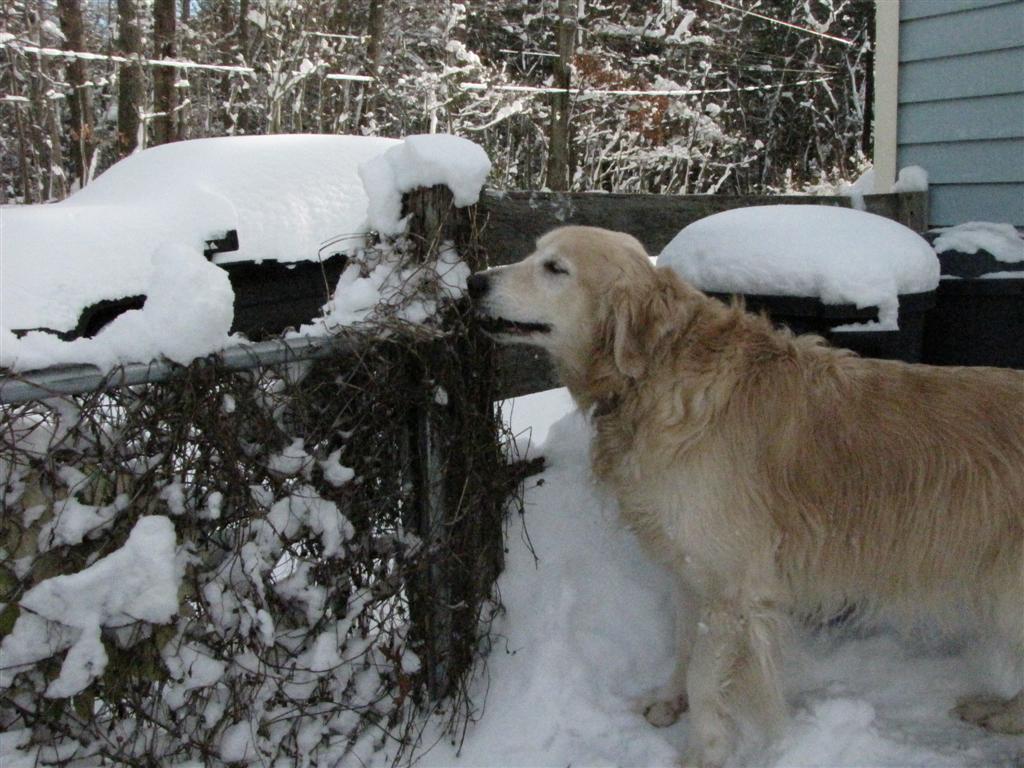 [IMG_5924+(Large).JPG]