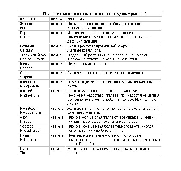 [Untitled-1+copy.JPG]