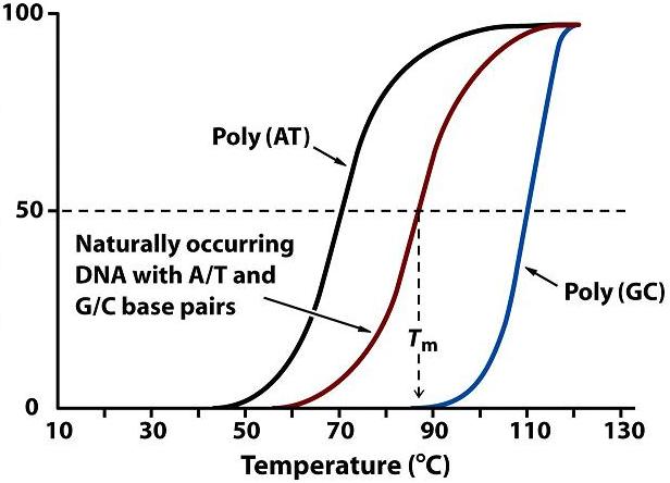 [DNA_melting_curves_2.jpg]
