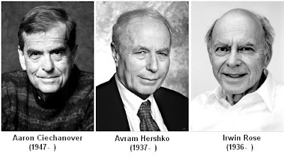 Sandwalk: Nobel Laureates: Aaron Ciechanover, Avram Hershko, Irwin Rose