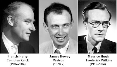 Image result for three scientists share nobel prize for dna in 1962 for   dna work