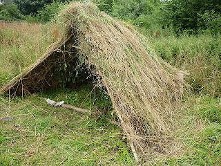 shelter building+spoon carving