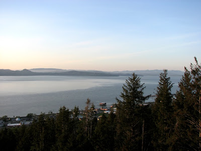 A view onto the Columbia River from the Astoria Column