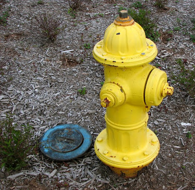 Yellow Fire Hydrant, Blue Meter Cover