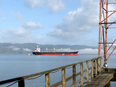 Ships on the Columbia River at Astoria, Oregon