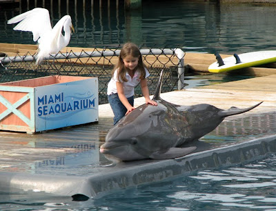 Girl with Dolphin, Miami Seaquarium