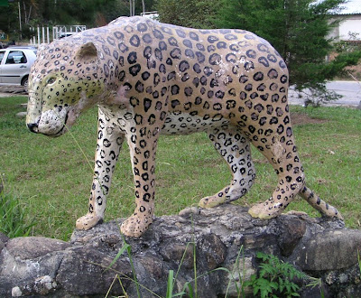 Roadside Jaguar, Brazil