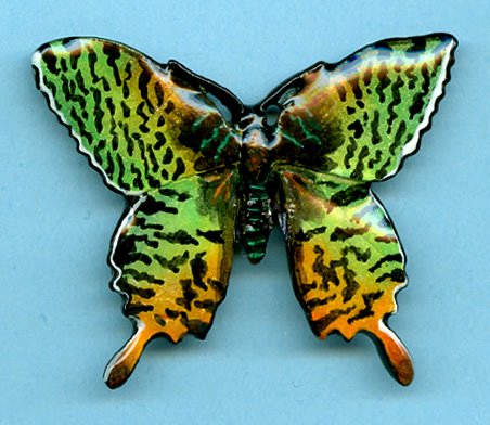 [butterfly-green-tiger-pin-01.jpg]