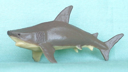 [bull-shark-236.jpg]