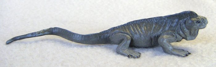 [iguana-galapagos-marine-plastic-f1524.jpg]