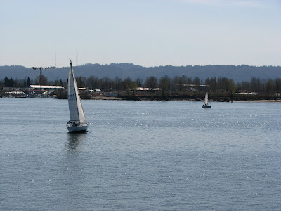 Sailboats on the Columbia River
