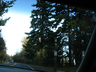 Driving to OHSU, Portland