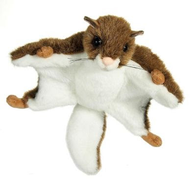 Stuffed Flying Squirrel